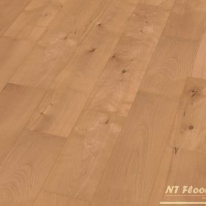 Massivholzdiele Buche Eleganz-Natur - natur vorgeölt - NT Floors Leipzig