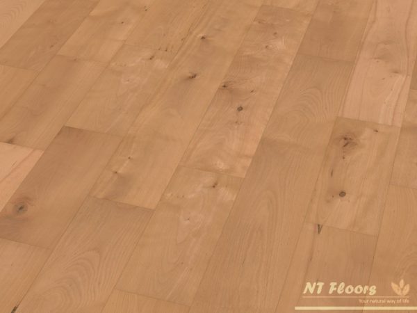 Massivholzdiele Buche Eleganz-Natur - natur vorgeölt - NT Floors Leipzig