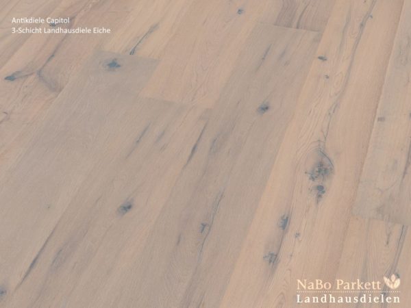 Eiche Antikdiele Capitol - NaBo Parkett Landhausdielen - gebürstet oder handgehobelt, gebürstet + weiß geölt - Perspektivansicht