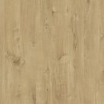 Oak timeless