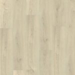 Oak viginia