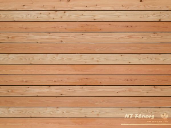 Holz Terrassendiele Lärche europäisch AB - NT Floors Leipzig