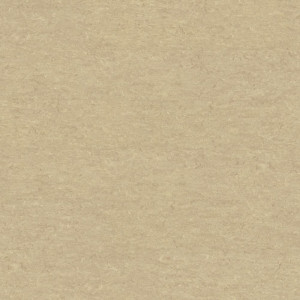 Linoleum Linocolor Caramell PURE - NaBo Parkett Leipzig