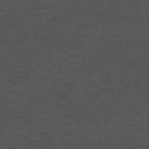 Linoleum Linocolor Graphit PURE - NaBo Parkett Leipzig