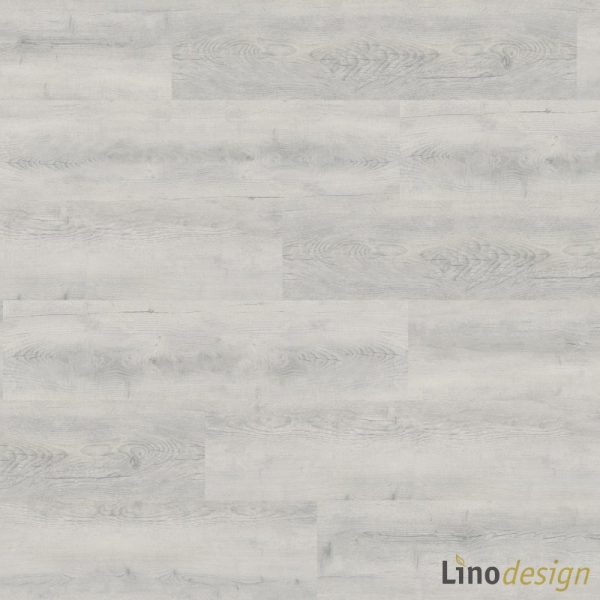 Linoleum LINODESIGN Schneeeiche - verlegte Fläche - NaBo Parkett Leipzig